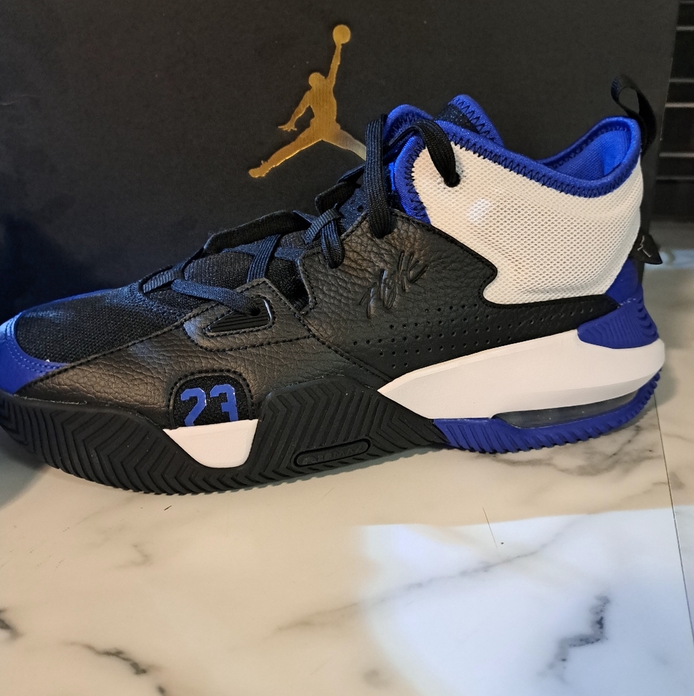 Authentic Jordan "back to loyal" shoe NEW